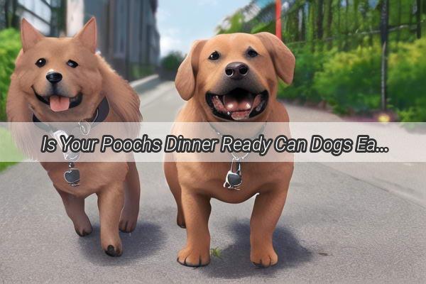  Is Your Poochs Dinner Ready Can Dogs Eat Sweet Potatoes